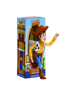 Woody (movie moment)