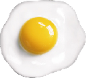 Egg Magnet