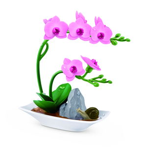 Pink Orchids