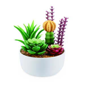 Succulent Bowl