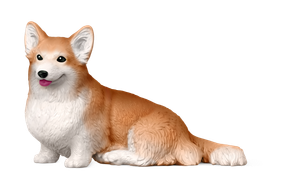 Bridgerton Corgi